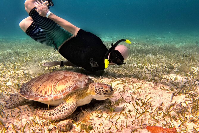 The Cozumel Turtle Sanctuary Snorkel Tour - The boat ride to Colombia and Palancar Reef