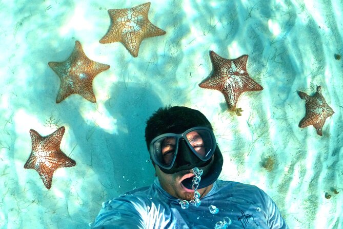 The Cozumel Turtle Sanctuary Snorkel Tour - El Cielito, stingrays, and floating ceviche