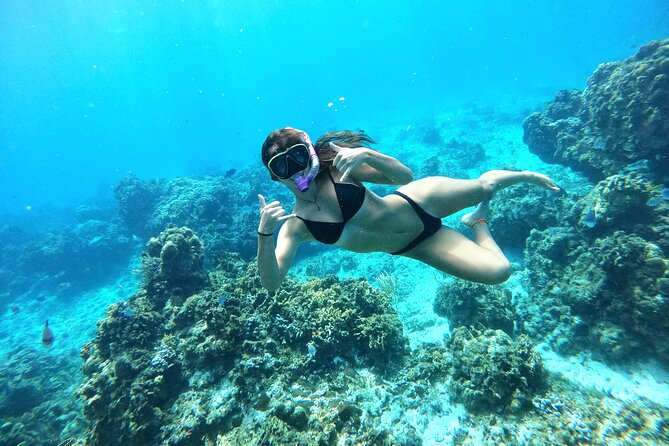 The Cozumel Turtle Sanctuary Snorkel Tour - Crowds, equipment, and the conservation rules