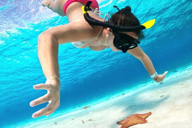 The Cozumel Turtle Sanctuary Snorkel Tour - Getting to the boat in Cozumel
