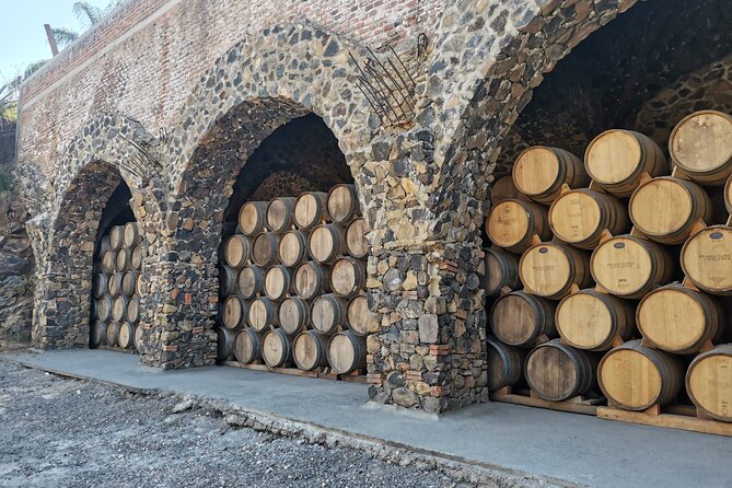 The Fire TOUR - Pyramids, Volcanoes, Agaves & Tequila - What happens at Destilería La Alborada