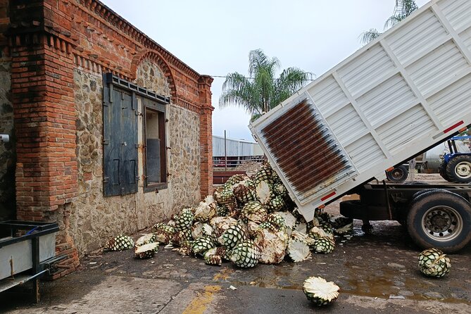 The Fire TOUR - Pyramids, Volcanoes, Agaves & Tequila - Pickup, group size, and the long-day reality