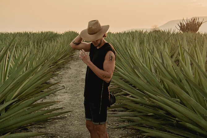 The Mezcal Journey - Why the agave fields are the right place to begin