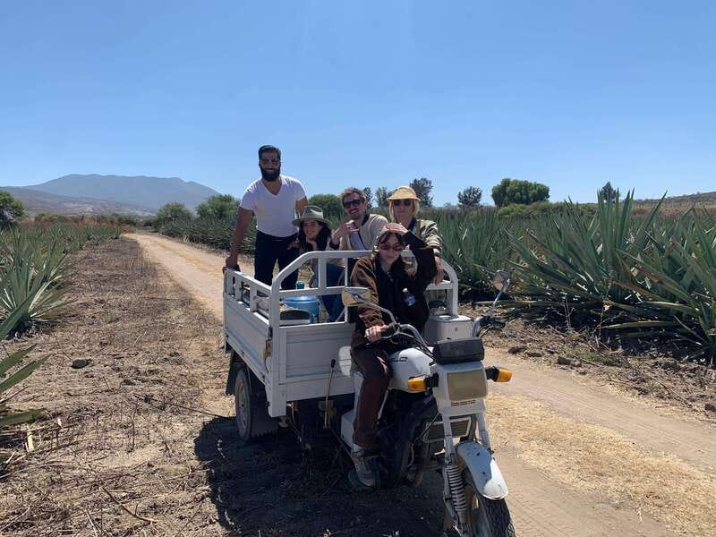 The Mezcal Journey - FAQ
