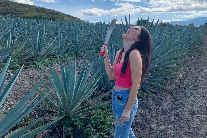 The Mezcal Journey - Unlimited mezcal tasting, with a little common sense