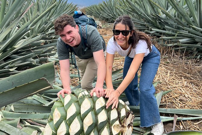 The Mezcal Journey - What $105 buys you
