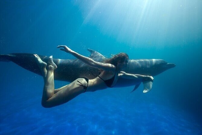The only Natural Space Dolphin Encounter in Cabo Optional Pickup! - Key points to know before booking