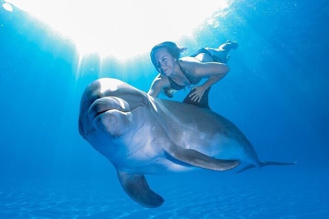 The only Natural Space Dolphin Encounter in Cabo Optional Pickup! - Photos are the main extra expense