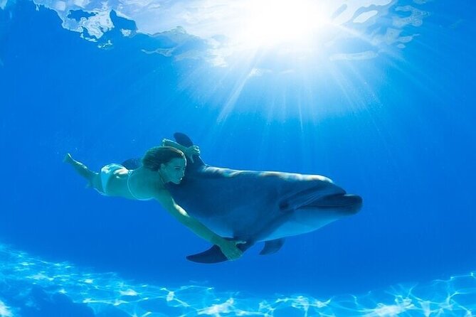 The only Natural Space Dolphin Encounter in Cabo Optional Pickup! - Who will get the most from this experience