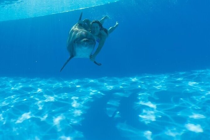 The only Natural Space Dolphin Encounter in Cabo Optional Pickup! - Timing, booking, and cancellation details