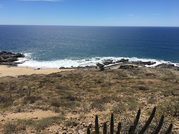 Todos Santos Day Trip from Cabo San Lucas - How much time will you get on your own?