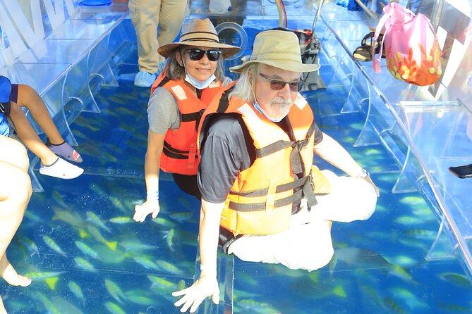Tours in Cabo, Paseo al Arco and Fin de la Tierra in the only Clear Boat - Guides, safety, and the feel of the ride