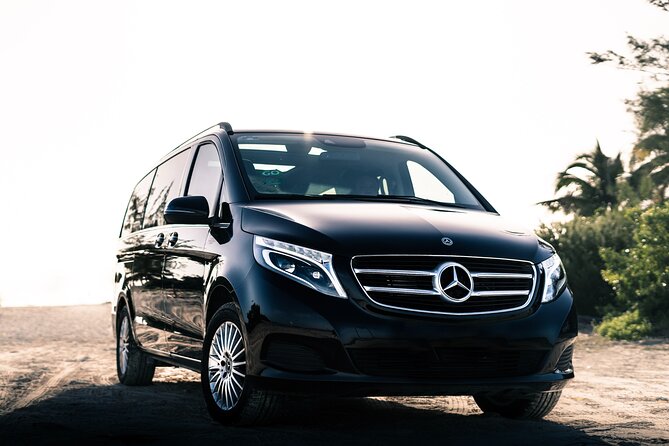 Transfer in Luxury Mercedes Benz Minivan - Finding the representative after customs