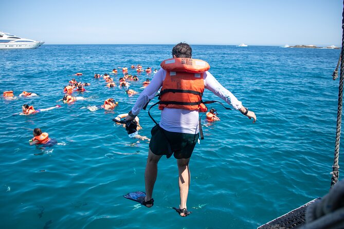 Treasure Hunt Snorkeling Lunch Cruise from Cabo San Lucas - What the Snorkeling Stop Really Offers