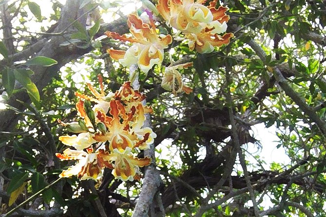 Tulum Archaeological Site & Sian Ka'an Muyil Tour from Tulum - Reaching Muyil Lagoon and the reserve