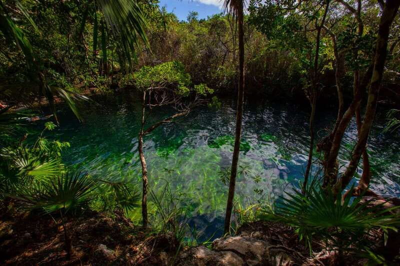 Tulum: Cenote Trail Bike Tour - Brunch or lunch in a private jungle setting
