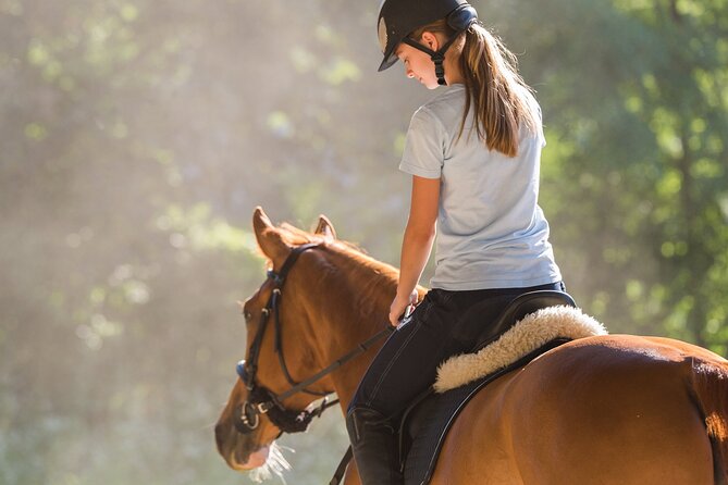Tulum Jungle Horseback Ride + ATV + Ziplines + Cenote Combo Tour - The 20-kilometer ATV ride