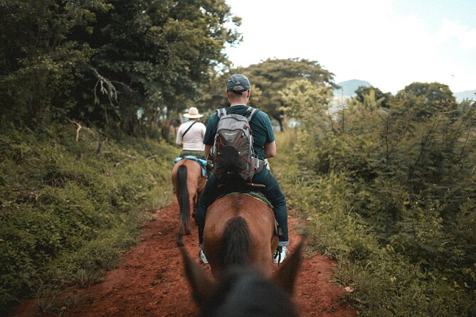 Tulum Jungle Horseback Ride + ATV + Ziplines + Cenote Combo Tour - How much is $125 worth?