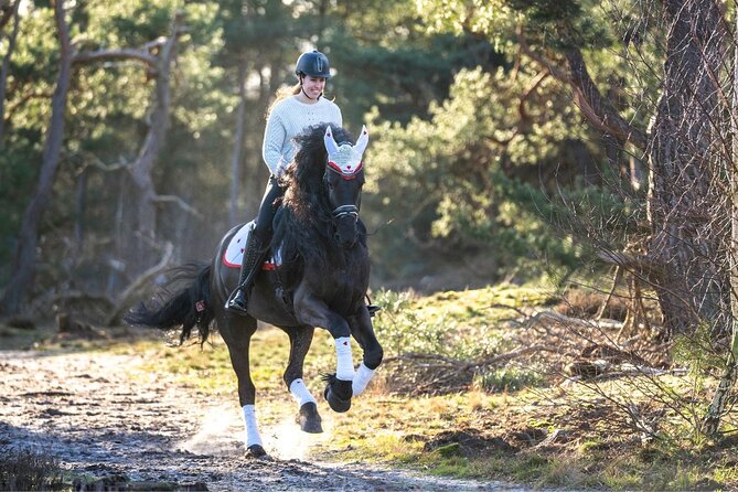 Tulum Jungle Horseback Ride + ATV + Ziplines + Cenote Combo Tour - Getting to the activity without a pickup surprise