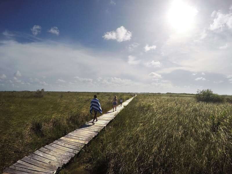 Tulum: Mayan Ruins & Sian Kaan Tour with Boat Ride and Lunch - What the transport and timing feel like
