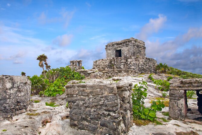 Tulum Ruins and Cenote Guided Tour, from Cancun - A swim at Cenote Mariposa