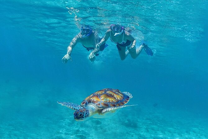 Tulum, Snorkeling with Sea Turtles, Cenote and Beachside Lunch - Cenote el Sueño, cold water and cave formations