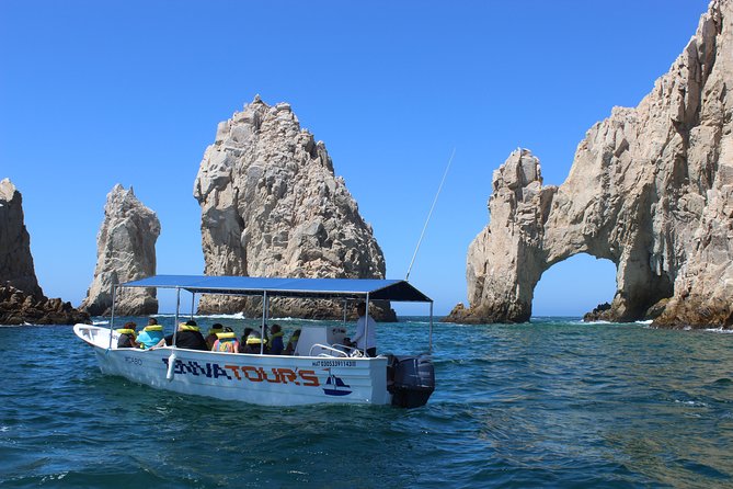 Two Capes City Tour - Key points to know before booking
