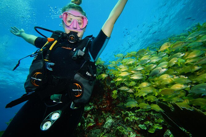 Two Reefs For Certified Divers in Cancun - Key points before you book