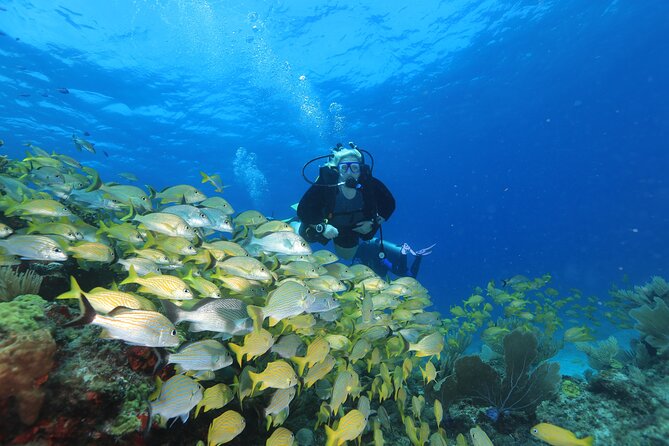 Two Tanks Scuba Diving for Beginners in Cancun - Health screening and pool practice