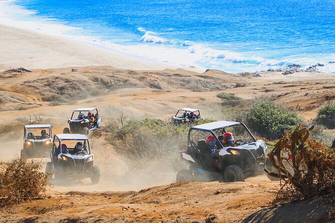 UTV Adventure with Free Camel Ride and Sky Bikes - Three Cabo adventures in one afternoon