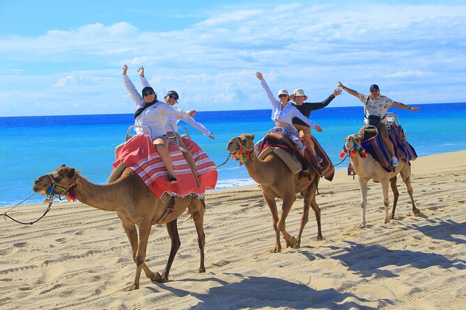UTV Adventure with Free Camel Ride and Sky Bikes - Who should book this Cabo excursion?