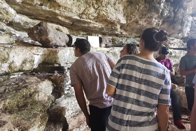 Valladolid Mayan Bees Tour with Lunch or breakfast and Honey Tasting - Why this small Valladolid tour is worth your time