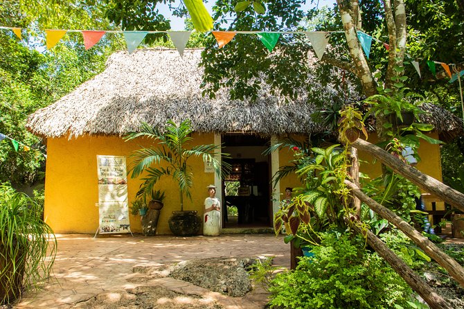 Valladolid Mayan Bees Tour with Lunch or breakfast and Honey Tasting - Following the jungle path to the meliponario