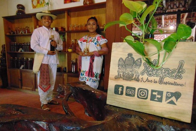 Valladolid Mayan Bees Tour with Lunch or breakfast and Honey Tasting - Opening a hive and seeing bee architecture