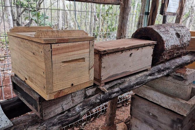 Valladolid Mayan Bees Tour with Lunch or breakfast and Honey Tasting - Choosing between breakfast and lunch