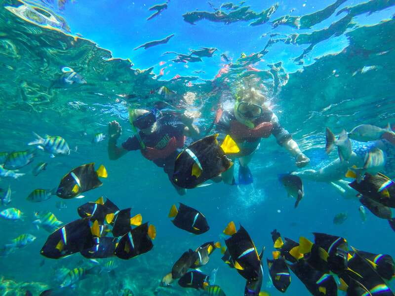 Vallarta: Yelapa Waterfall & Majahuitas Snorkel Adventure - The catamaran ride down the southern coast