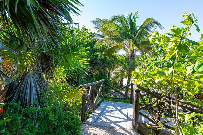 Viator Exclusive: Tulum Ruins, Reef Snorkeling, Cenote and Caves - Taco lunch and the value of $129