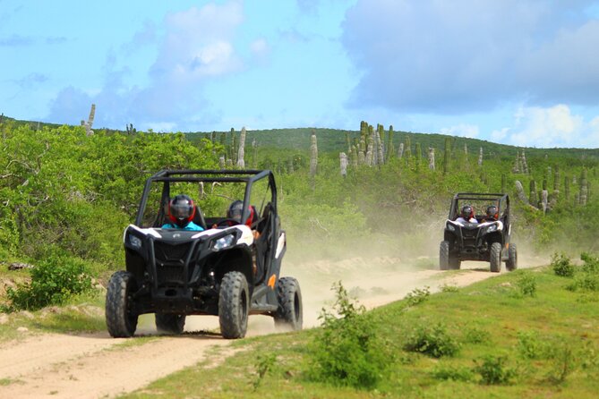 Viper Trail UTV Small-Group Experience in Cabo San Lucas - A 25 km route built for more than a quick spin