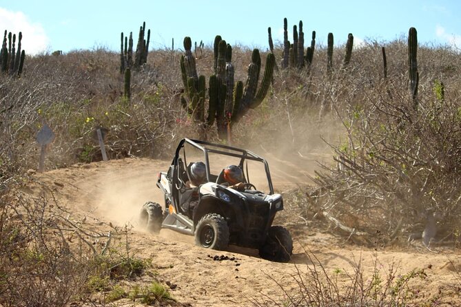 Viper Trail UTV Small-Group Experience in Cabo San Lucas - Scenic stops at the mini arch and the Pacific side