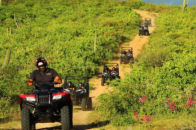 Viper Trail UTV Small-Group Experience in Cabo San Lucas - What is included, and what can raise the cost