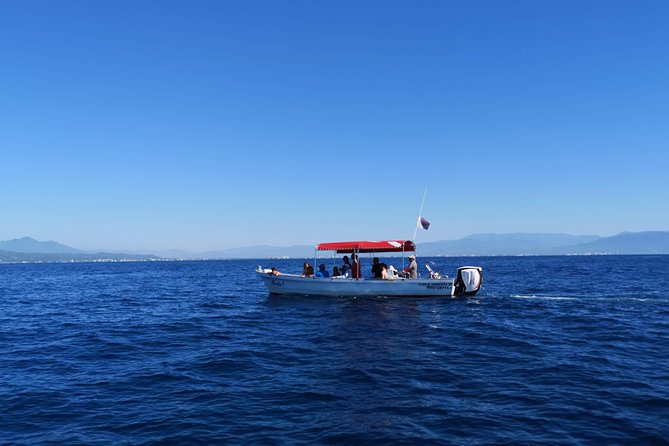 Whale Encounter Puerto Vallarta - Seats, sight lines, and the wet ride home
