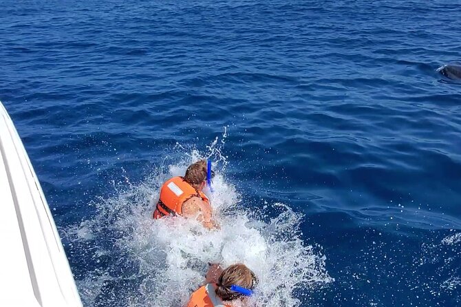Whale Shark Adventure in Isla Mujeres and Cancun - The conservation tradeoff