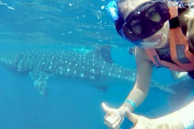 Whale Shark Adventure in Isla Mujeres and Cancun - Is $155 a fair price?