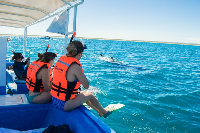 Whale Shark snorkeling tour in a reduced group with local marine biologist - Gear, snacks, and the practical details
