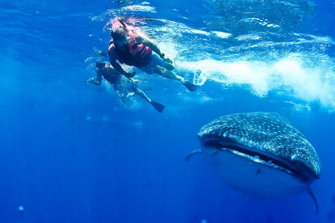 Whale Shark Swimming and Isla Mujeres Beach Tour - The long ride to the protected whale shark area