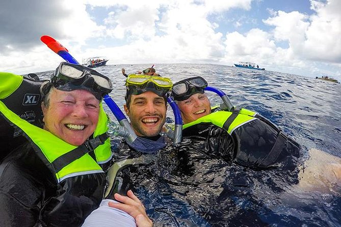 Whale Shark Tour from Cancun, Playa del Carmen, Tulum and Riviera Maya - Why the small group matters on a moving boat