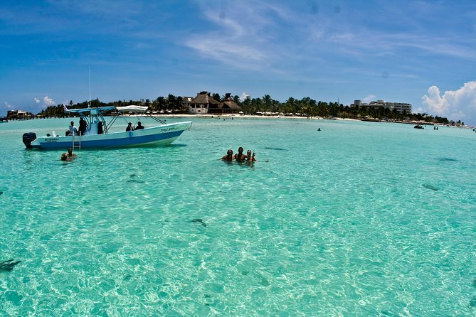 Whale Shark Tour from Cancun, Playa del Carmen, Tulum and Riviera Maya - Playa Norte brings ceviche and shallow water