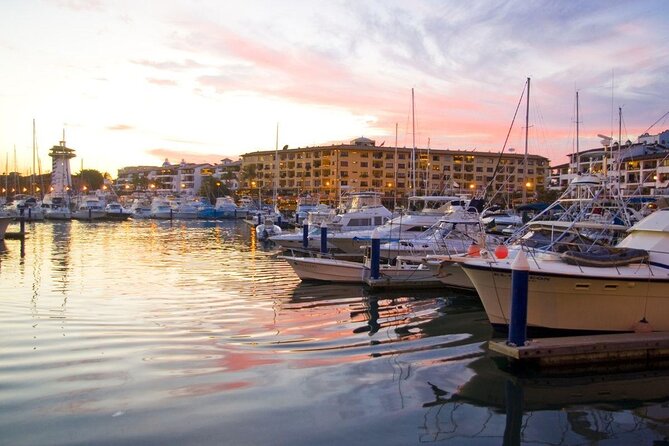 Whale Watching Adventure – Led by a Marine Biologist - Key points of the Puerto Vallarta whale tour