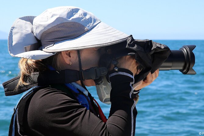 Whale Watching Adventure – Led by a Marine Biologist - Food, water, and what to bring