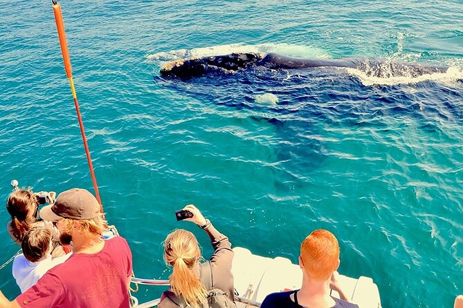 Whale Watching and Cabo San Lucas Arch - The small-boat ride and the Sea of Cortez
